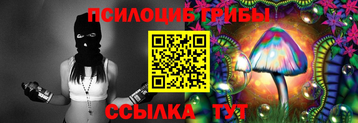 Псилоцибиновые грибы Cubensis  Вход с VPN  хочу   Псилоцибиновые грибы мухоморы  Кольчугино 